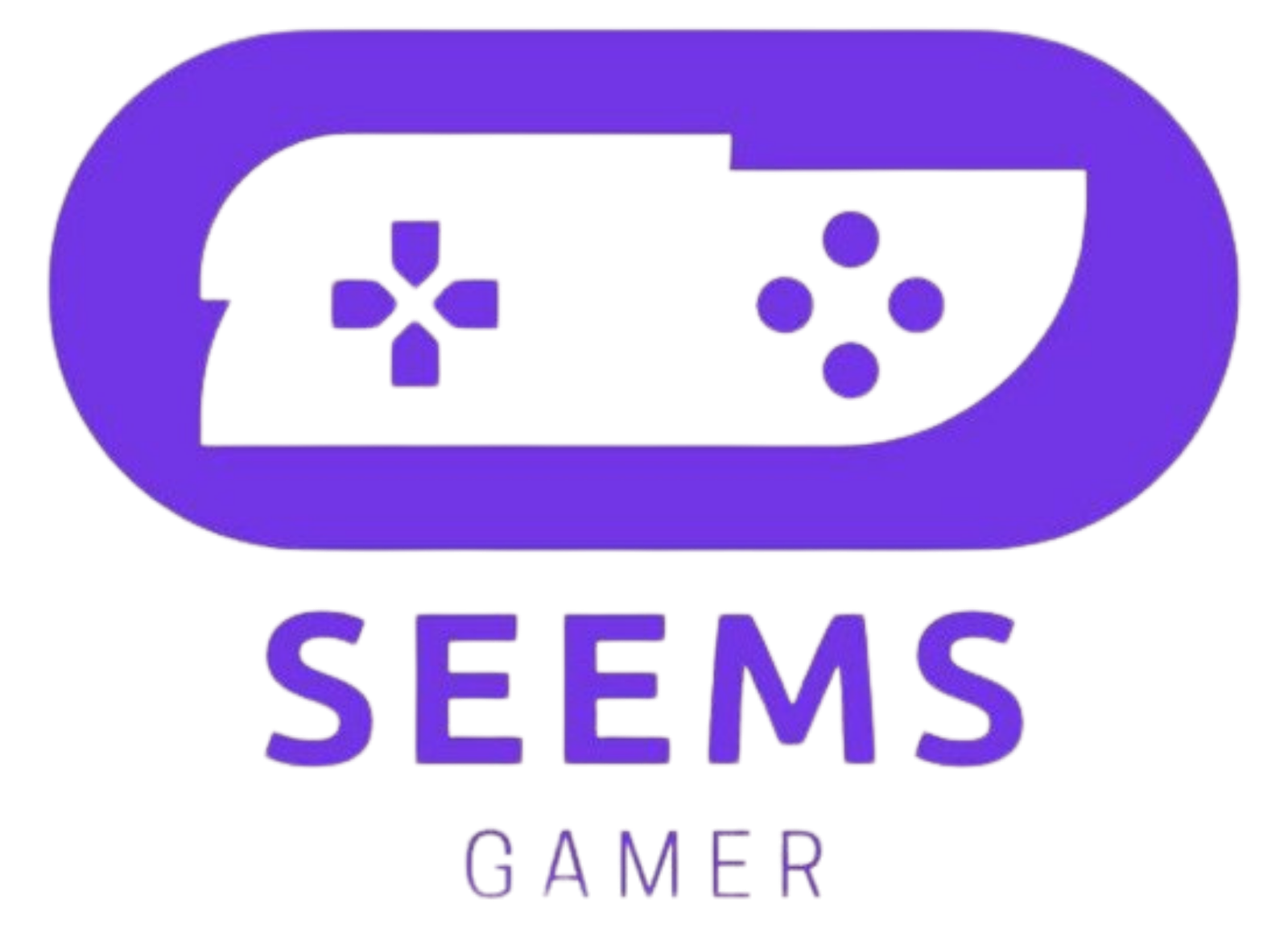 seemsgamer.com